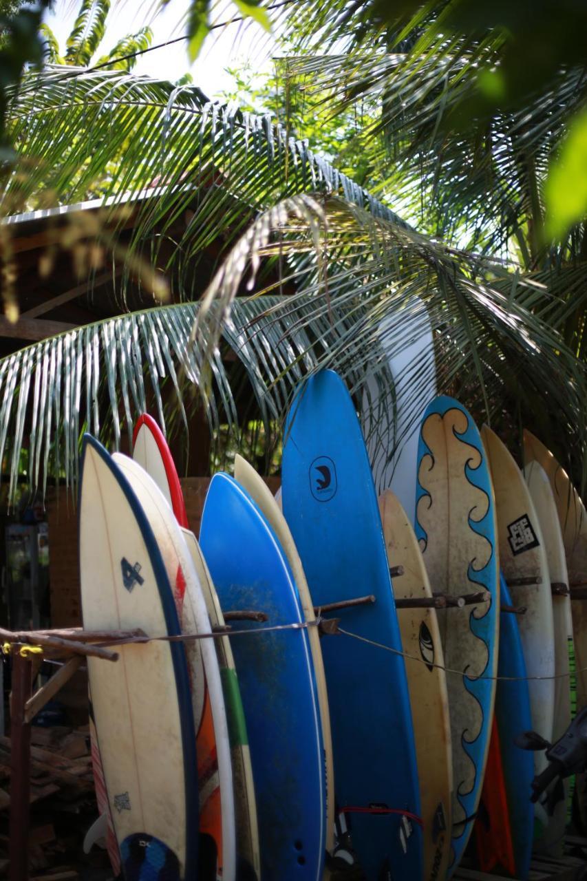 Surfing Wombats Hostel Weligama Exterior photo